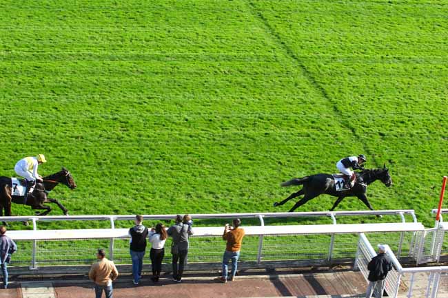 Photo d'arrivée de la course pmu PRIX MID DANCER à AUTEUIL le Vendredi 27 octobre 2017