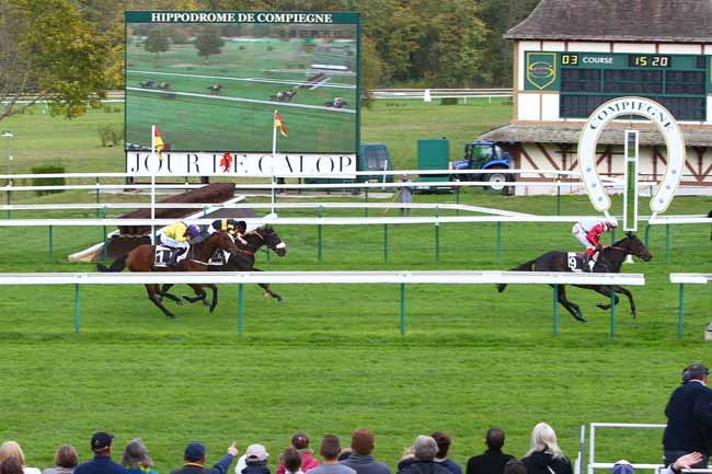 Photo d'arrivée de la course pmu PRIX ARMAND DE COULANGE - PRIX D'AMIENS à COMPIEGNE le Samedi 28 octobre 2017