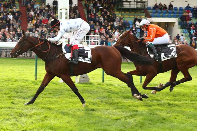 Photo d'arrivée de la course pmu PRIX DE BESANCON à COMPIEGNE le Samedi 28 octobre 2017