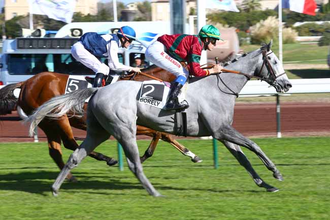 Photo d'arrivée de la course pmu PRIX GYPTIS ET PROTIS à MARSEILLE-BORELY le Lundi 30 octobre 2017