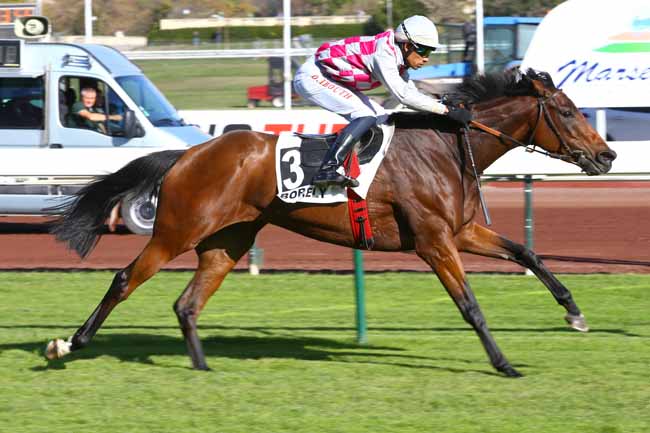 Photo d'arrivée de la course pmu HANDICAP DE MARSEILLE à MARSEILLE-BORELY le Lundi 30 octobre 2017