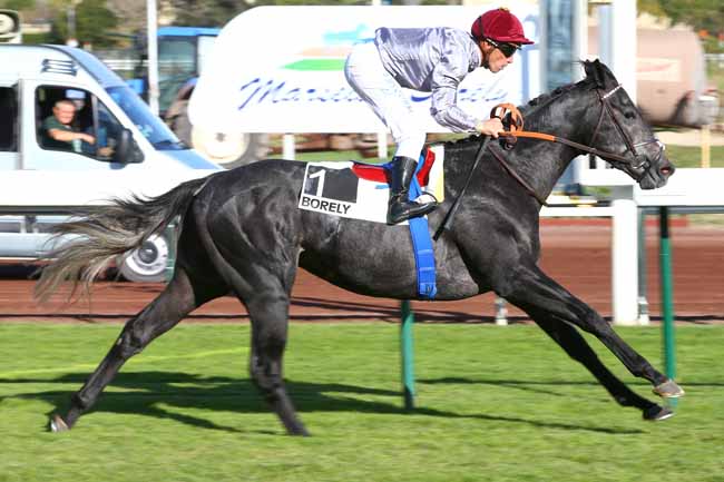 Photo d'arrivée de la course pmu PRIX TWIG à MARSEILLE-BORELY le Lundi 30 octobre 2017