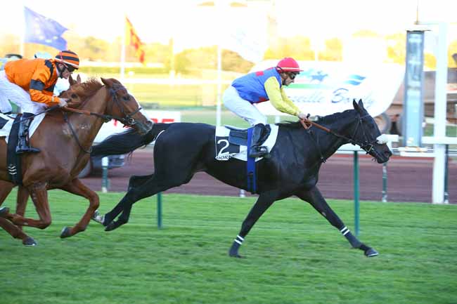 Photo d'arrivée de la course pmu PRIX DES SOCIETAIRES à MARSEILLE-BORELY le Lundi 30 octobre 2017