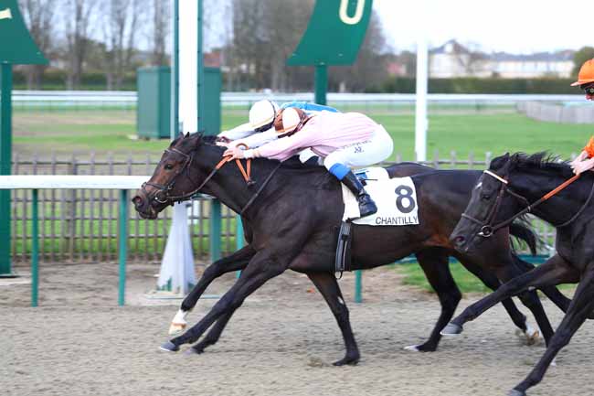 Photo d'arrivée de la course pmu PRIX DU PUITS à CHANTILLY le Lundi 30 octobre 2017