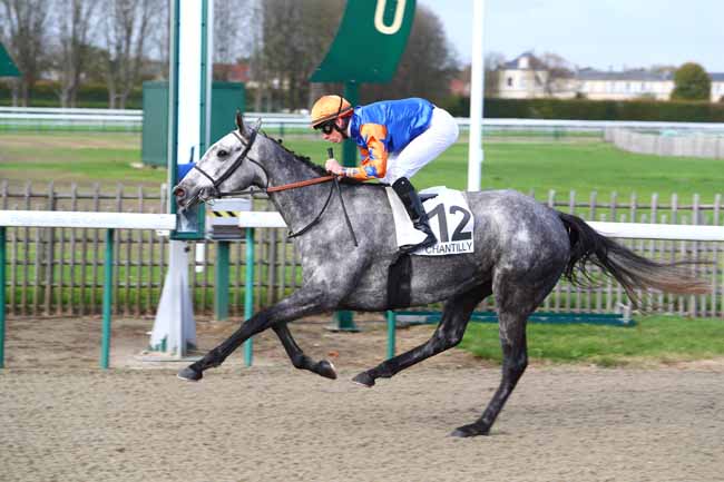 Photo d'arrivée de la course pmu PRIX D'ANSERVILLE à CHANTILLY le Lundi 30 octobre 2017