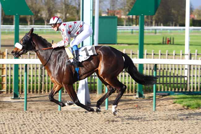 Photo d'arrivée de la course pmu PRIX DE BELLE EGLISE à CHANTILLY le Lundi 30 octobre 2017