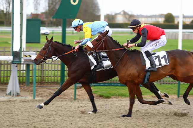 Photo d'arrivée de la course pmu PRIX DU BIAT à CHANTILLY le Lundi 30 octobre 2017