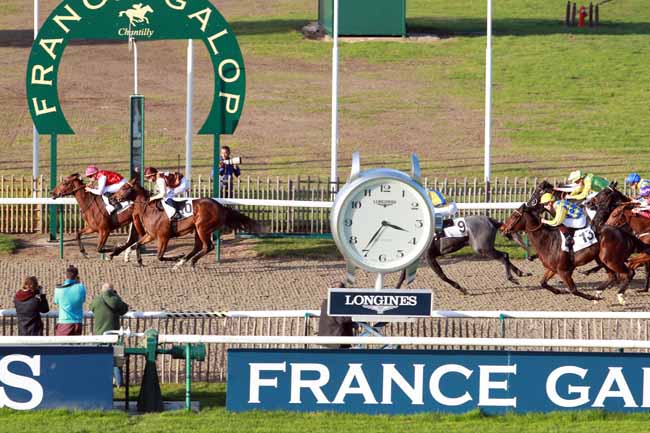 Photo d'arrivée de la course pmu PRIX DES TERRES NOIRES à CHANTILLY le Mardi 31 octobre 2017