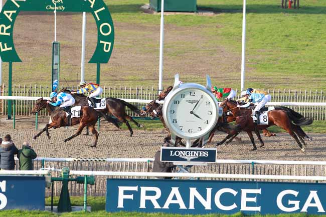 Photo d'arrivée de la course pmu PRIX DU MARAIS DOZET à CHANTILLY le Mardi 31 octobre 2017