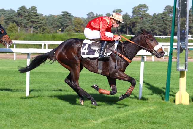 Photo d'arrivée de la course pmu PRIX PRINCESSE D'ANJOU à FONTAINEBLEAU le Mardi 31 octobre 2017
