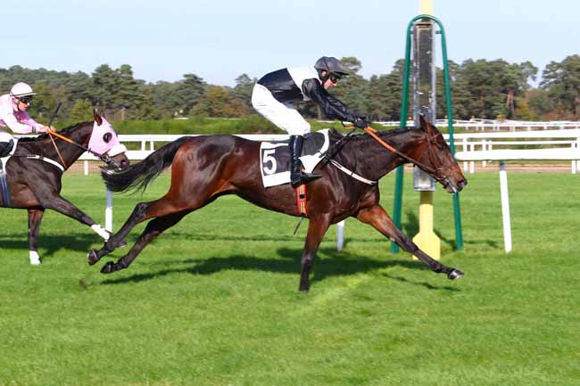 Photo d'arrivée de la course pmu PRIX DE LA VILLE D'AVON à FONTAINEBLEAU le Mardi 31 octobre 2017