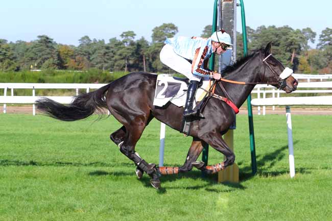 Photo d'arrivée de la course pmu PRIX RICHARD D'AYGUEVIVES à FONTAINEBLEAU le Mardi 31 octobre 2017