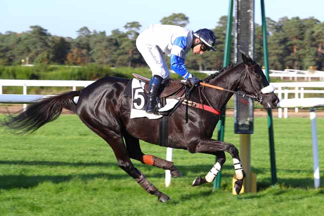 Photo d'arrivée de la course pmu PRIX DU GRAND PARQUET à FONTAINEBLEAU le Mardi 31 octobre 2017