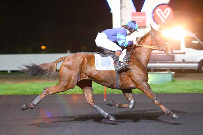 Photo d'arrivée de la course pmu PRIX BRUCIA à PARIS-VINCENNES le Mardi 31 octobre 2017