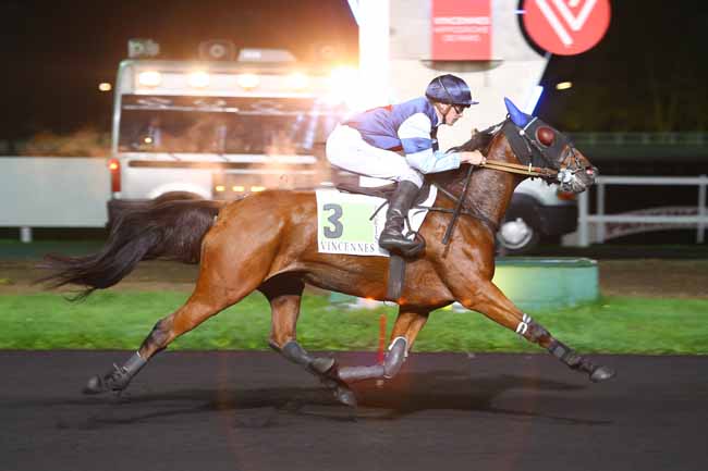 Photo d'arrivée de la course pmu PRIX JUSTICIA à PARIS-VINCENNES le Mardi 31 octobre 2017