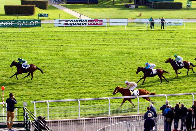Photo d'arrivée de la course pmu PRIX DE CRESPIERES à MAISONS-LAFFITTE le Mercredi 1 novembre 2017