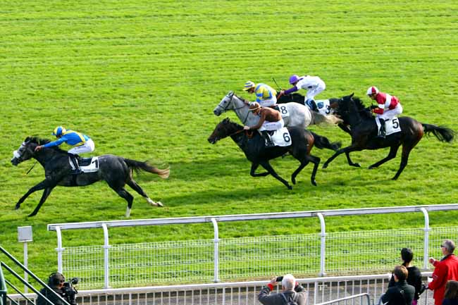 Photo d'arrivée de la course pmu PRIX DE SAINT-ARNOULT-EN-YVELINES à MAISONS-LAFFITTE le Mercredi 1 novembre 2017