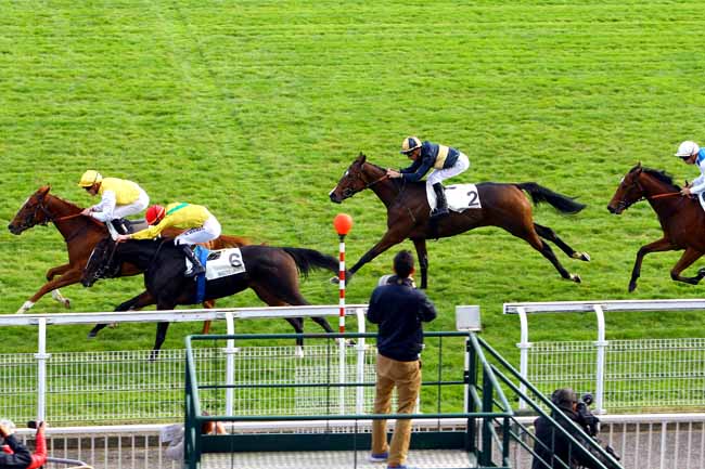 Photo d'arrivée de la course pmu PRIX MIESQUE à MAISONS-LAFFITTE le Mercredi 1 novembre 2017