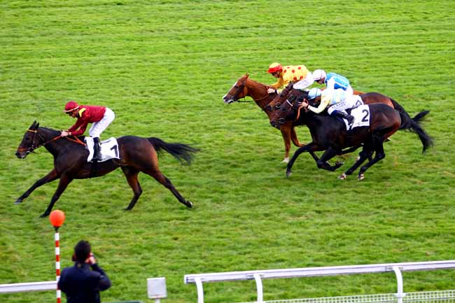 Photo d'arrivée de la course pmu PRIX DE SEINE-ET-OISE à MAISONS-LAFFITTE le Mercredi 1 novembre 2017