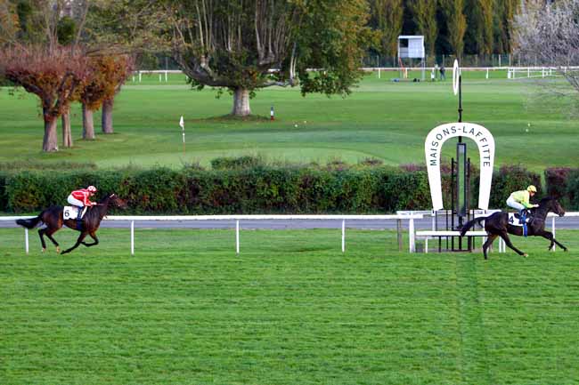 Photo d'arrivée de la course pmu PRIX DE LA MOSELLE à MAISONS-LAFFITTE le Mercredi 1 novembre 2017