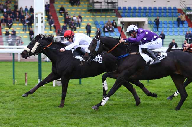 Photo d'arrivée de la course pmu PRIX DE PITHIVIERS à COMPIEGNE le Jeudi 2 novembre 2017