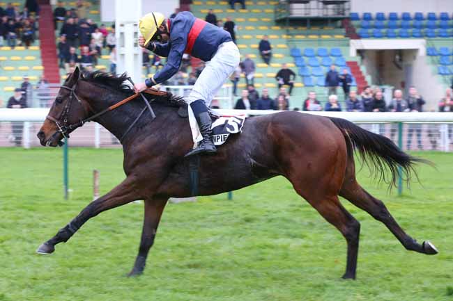 Photo d'arrivée de la course pmu PRIX BUCHEUR à COMPIEGNE le Jeudi 2 novembre 2017
