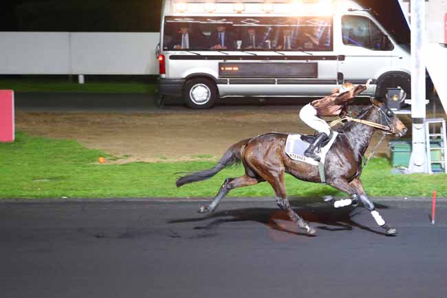Photo d'arrivée de la course pmu PRIX DRACO à PARIS-VINCENNES le Vendredi 3 novembre 2017