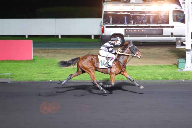 Photo d'arrivée de la course pmu PRIX MENSA à PARIS-VINCENNES le Vendredi 3 novembre 2017