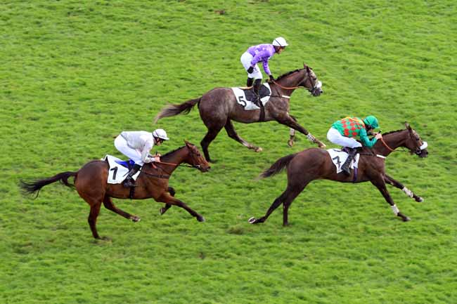 Photo d'arrivée de la course pmu PRIX CAMBACERES - GRANDE COURSE DE HAIES DES 3 ANS à AUTEUIL le Dimanche 5 novembre 2017