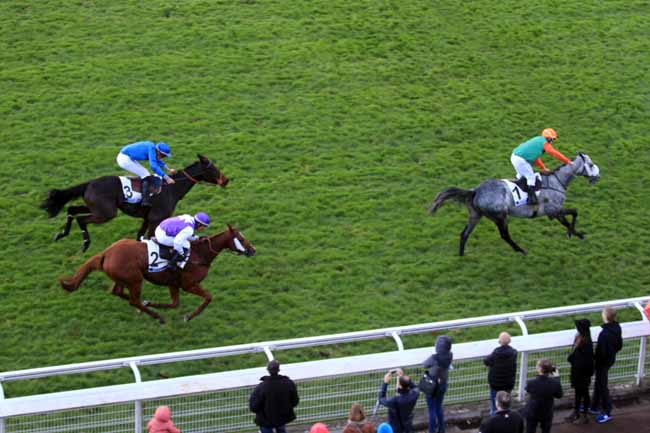Photo d'arrivée de la course pmu PRIX COUNT SCHOMBERG à AUTEUIL le Dimanche 5 novembre 2017