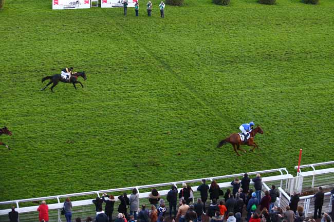 Photo d'arrivée de la course pmu PRIX RMC - PRIX BERNARD SECLY à AUTEUIL le Dimanche 5 novembre 2017