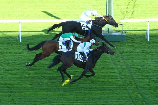 Photo d'arrivée de la course pmu PRIX ISOLA BELLA - FONDS EUROPEEN DE L'ELEVAGE à SAINT-CLOUD le Mardi 7 novembre 2017