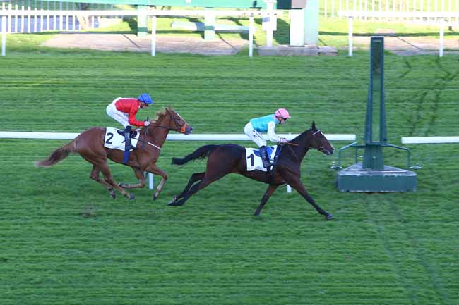Photo d'arrivée de la course pmu PRIX SOLITUDE à SAINT-CLOUD le Mardi 7 novembre 2017
