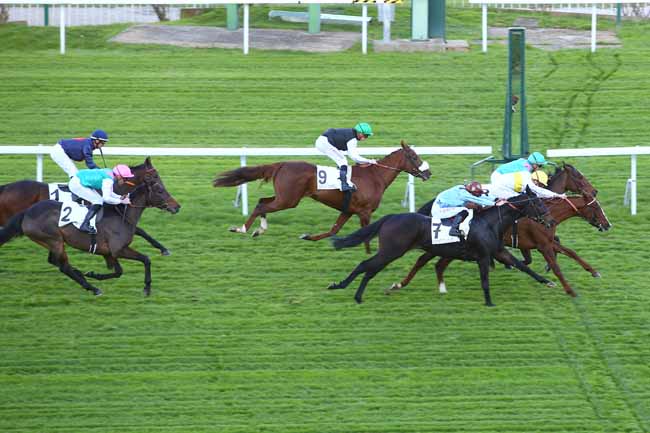 Photo d'arrivée de la course pmu PRIX LOISIR à SAINT-CLOUD le Mardi 7 novembre 2017