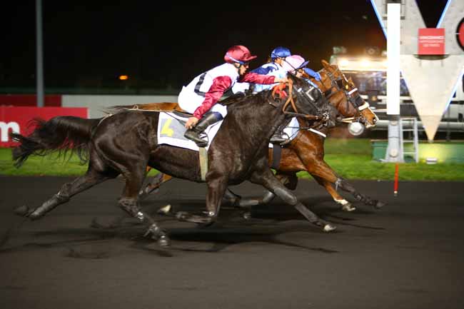 Photo d'arrivée de la course pmu PRIX LACERTA à PARIS-VINCENNES le Mardi 7 novembre 2017
