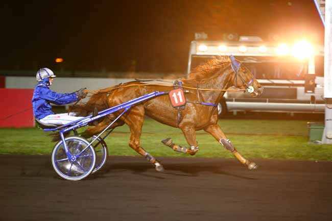 Photo d'arrivée de la course pmu PRIX LEDA à PARIS-VINCENNES le Mardi 7 novembre 2017