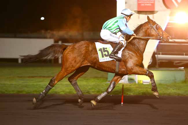 Photo d'arrivée de la course pmu PRIX OHIO à PARIS-VINCENNES le Mardi 7 novembre 2017