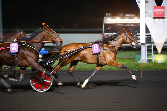 Photo d'arrivée de la course pmu PRIX GEMINUS à PARIS-VINCENNES le Mardi 7 novembre 2017