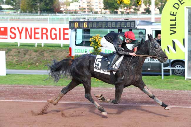Photo d'arrivée de la course pmu PRIX HIT WEST à NANTES le Mercredi 8 novembre 2017