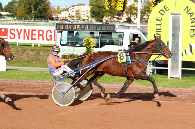Photo d'arrivée de la course pmu GRAND NATIONAL DU TROT PARIS-TURF à NANTES le Mercredi 8 novembre 2017