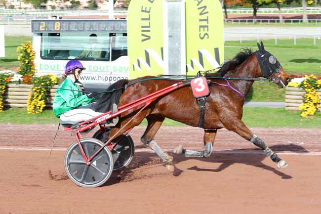 Photo d'arrivée de la course pmu PRIX DE LA FEDERATION FRANCAISE DE HANDBALL à NANTES le Mercredi 8 novembre 2017