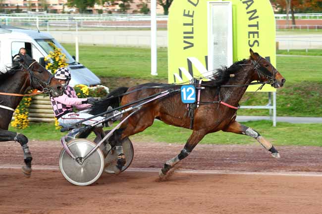 Photo d'arrivée de la course pmu PRIX DE LA FEDERATION FRANCAISE DE RUGBY à NANTES le Mercredi 8 novembre 2017
