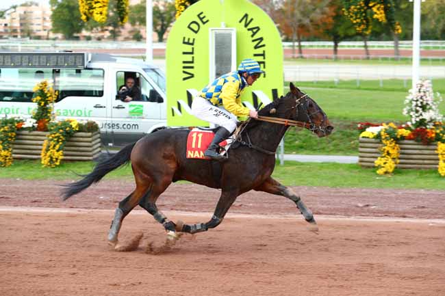 Photo d'arrivée de la course pmu GRAND PRIX SYNERGIE à NANTES le Mercredi 8 novembre 2017