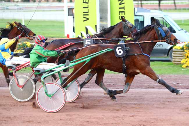 Photo d'arrivée de la course pmu PRIX DES PROFESSIONNELS DU TROT (GR B) à NANTES le Mercredi 8 novembre 2017