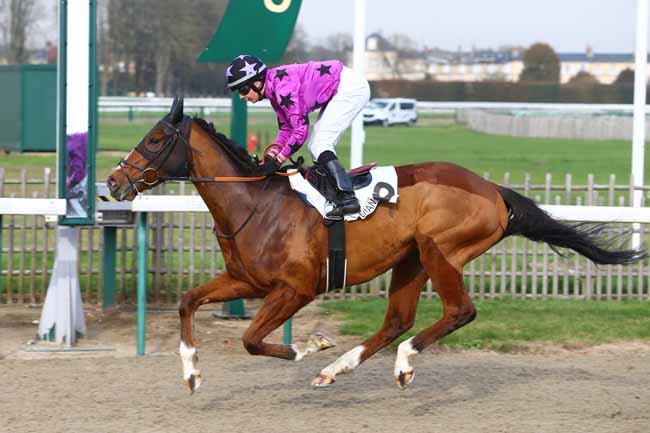Photo d'arrivée de la course pmu PRIX DU VERGALY à CHANTILLY le Mercredi 8 novembre 2017