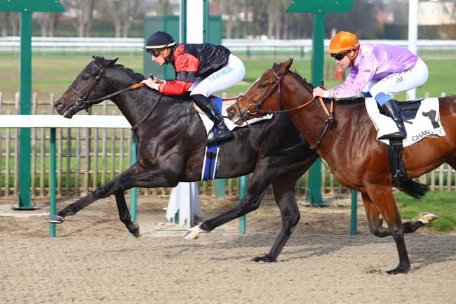 Photo d'arrivée de la course pmu PRIX GREEN LODGE à CHANTILLY le Mercredi 8 novembre 2017