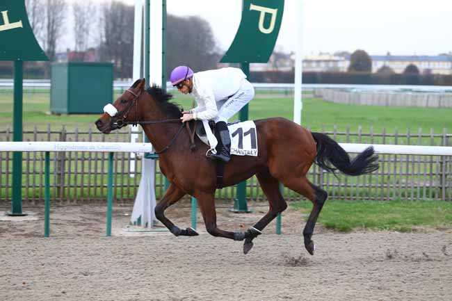 Photo d'arrivée de la course pmu PRIX DE LA BERGERIE à CHANTILLY le Mercredi 8 novembre 2017