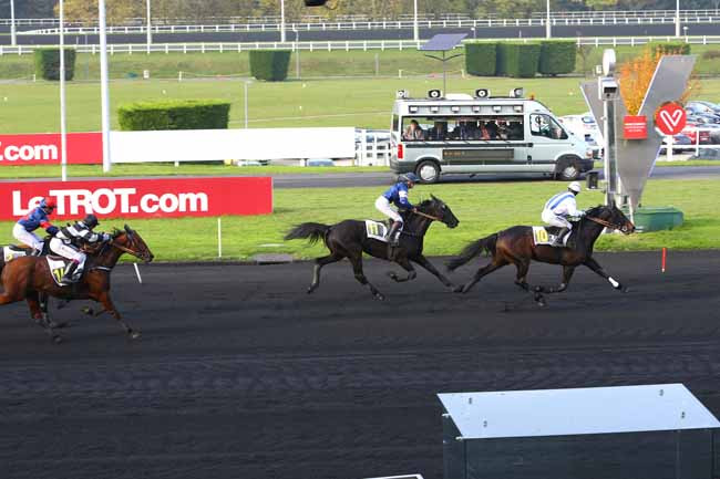 Photo d'arrivée de la course pmu PRIX D'AVESNES à PARIS-VINCENNES le Jeudi 9 novembre 2017