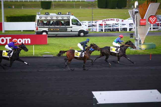 Photo d'arrivée de la course pmu PRIX DE SAVIGNY-SUR-BRAYE à PARIS-VINCENNES le Jeudi 9 novembre 2017