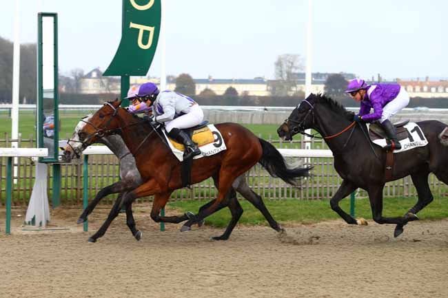 Photo d'arrivée de la course pmu PRIX DES ELEGANTES à CHANTILLY le Jeudi 9 novembre 2017